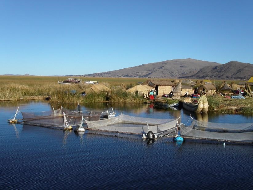 Aprovechamiento comunitario de recursos hidrobiológicos en el lago Titicaca.