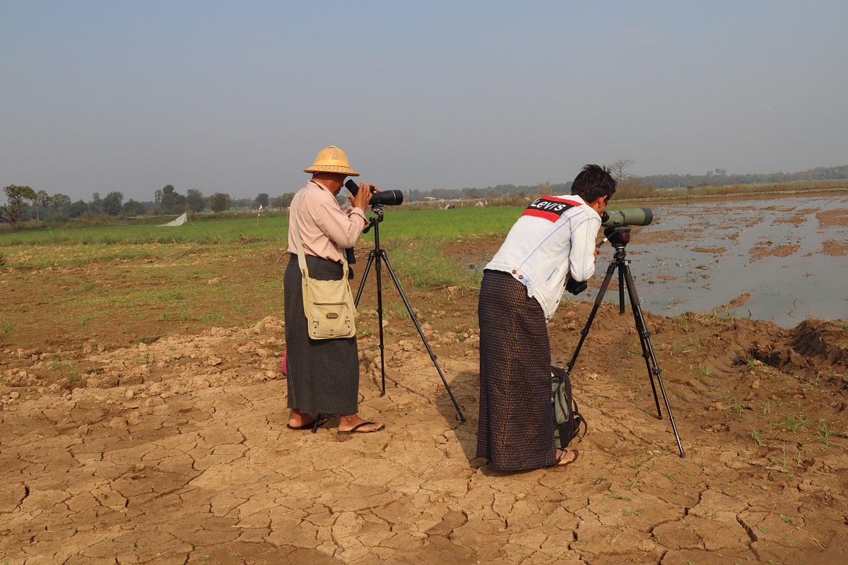 Waterbird survey in Pyu Lake ©Thiri Sandar Zaw