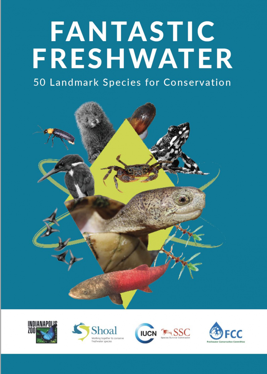Fantastic Freshwater: 50 landmark species for conservation | IUCN