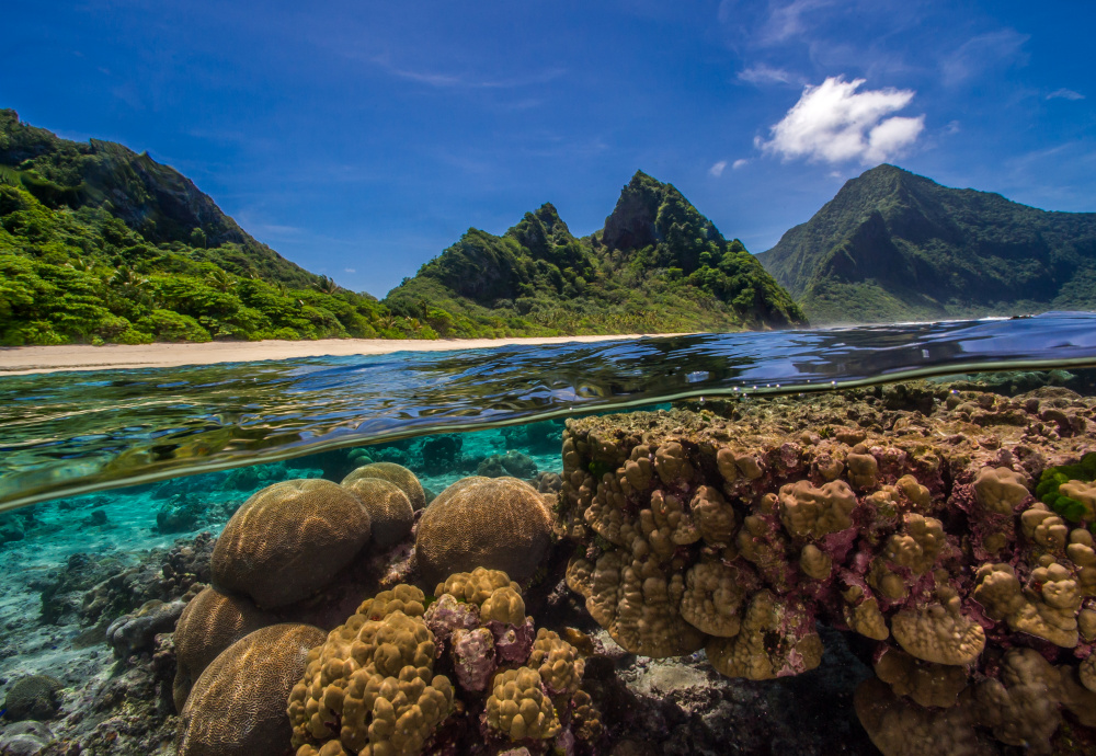 Coral reef coastal ecosystem, American Samoa