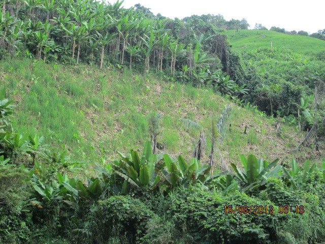 A variety of other threats to fauna also seen including shifting cultivation patterns.