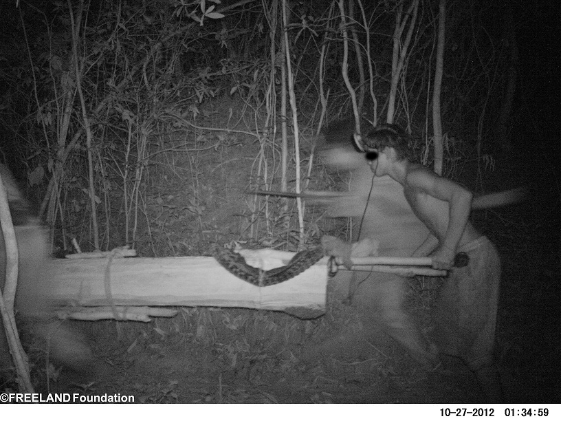 Rosewood poachers caught on camera traps
