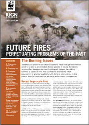 arborvitae Special Issue  - Future fires