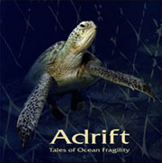 Adrift : tales of ocean fragility
