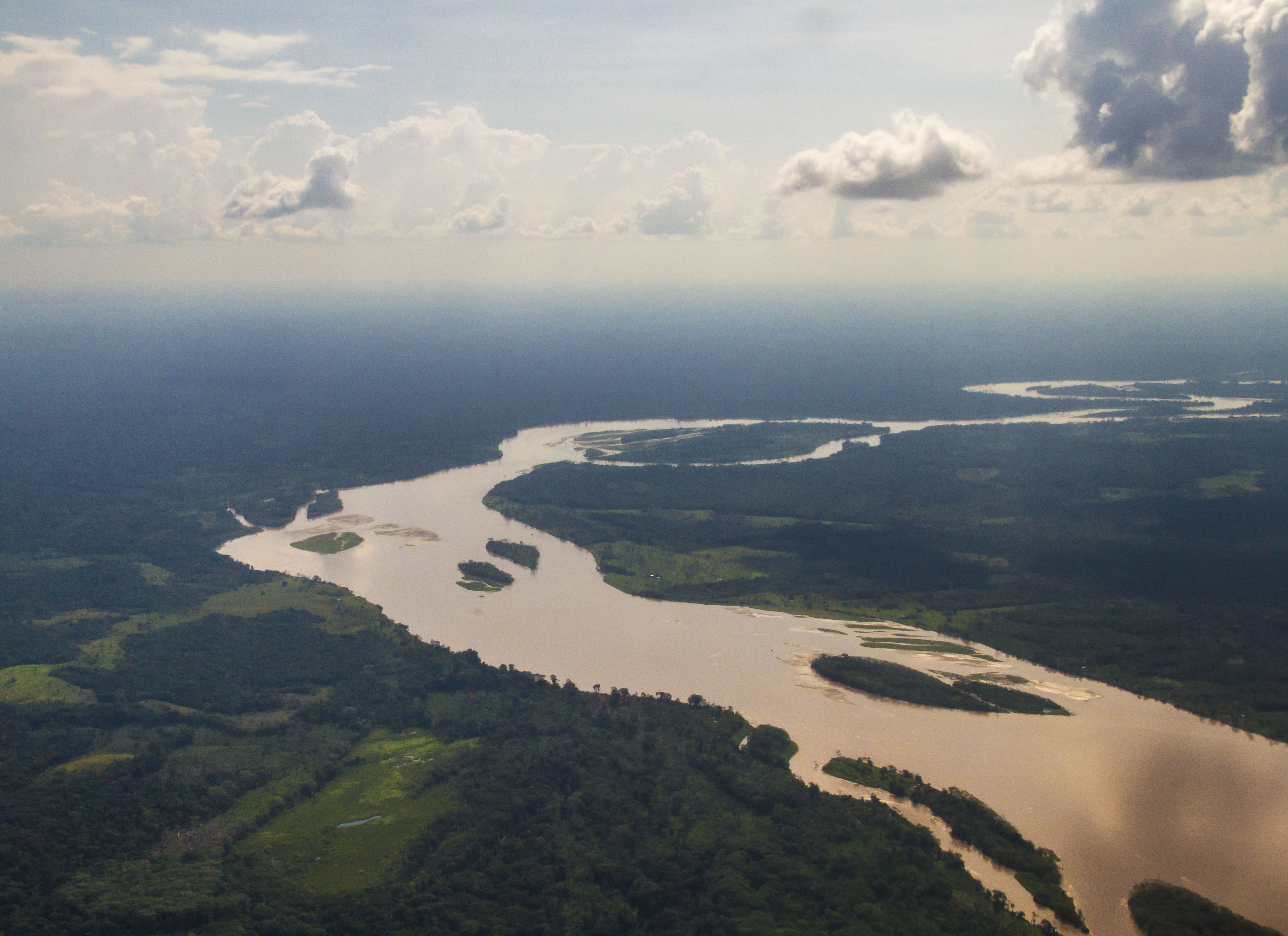 Amazon basin