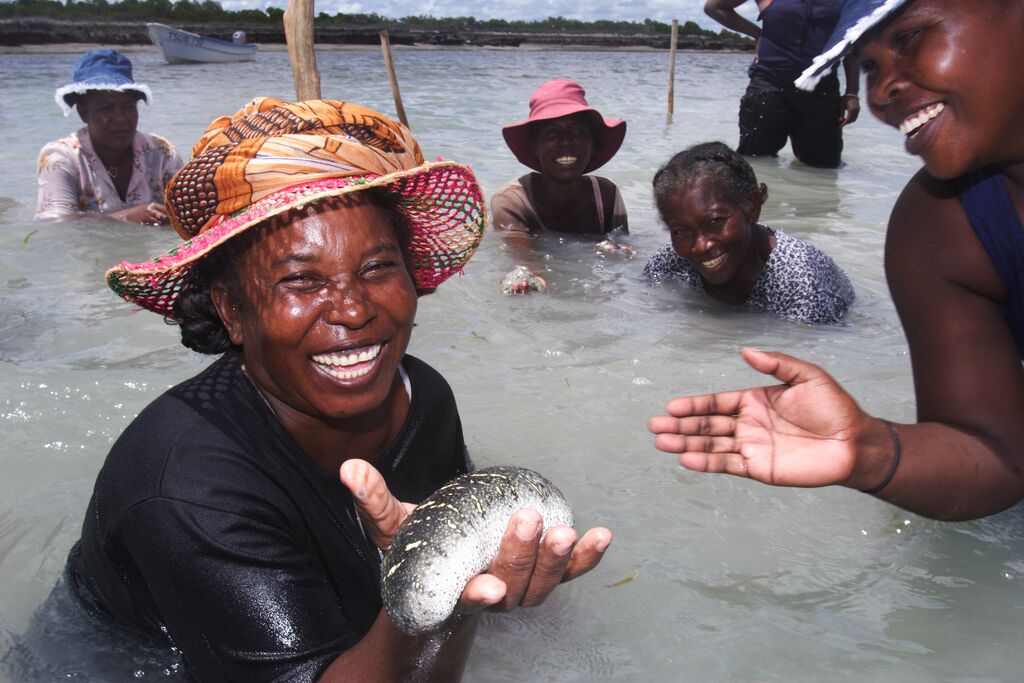 Aquaculture: sea cucumber farmers in Madagascar