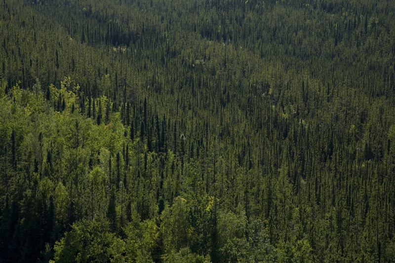 Birch Mountains Alberta