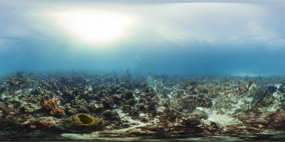 Caribbean reefs with unhealthy corals, Guadeloupe, 2013