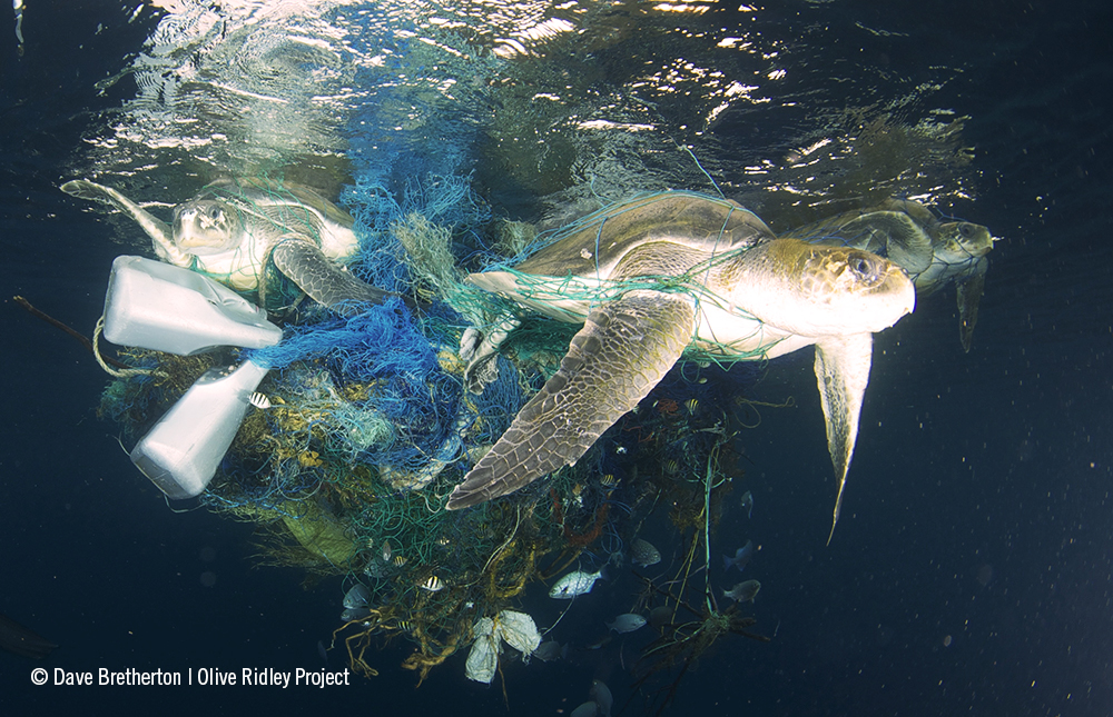 Ghost nets silent killers in the oceans IUCN
