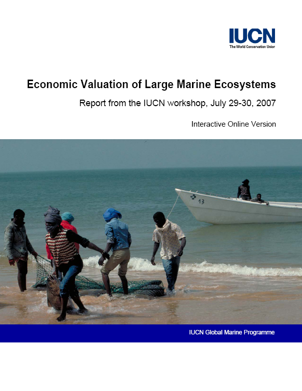 Economic Valuation of Large Marine Ecosystems