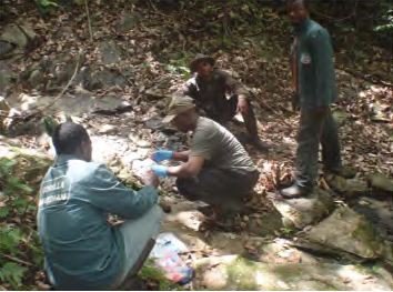 Field work in Cross River Gorilla habitat