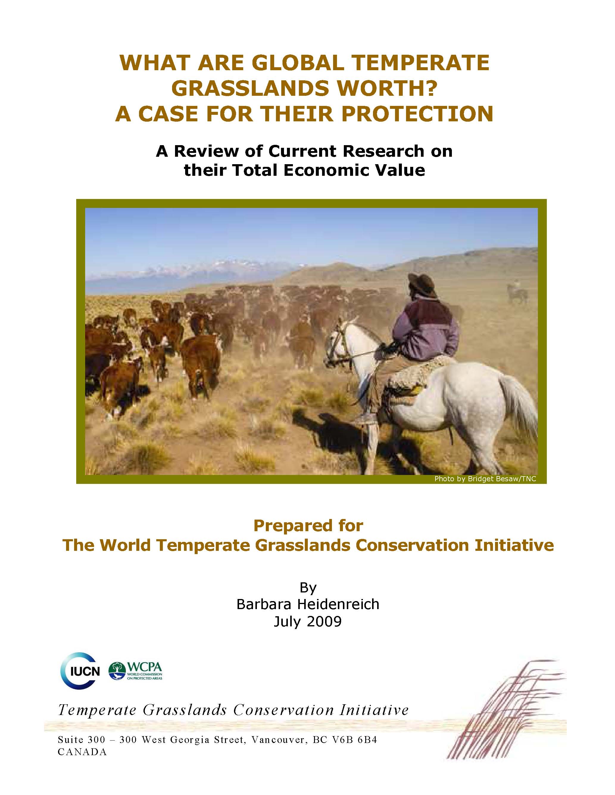 What are global temperate grasslands worth