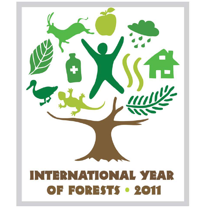 The United Nations General Assembly declared 2011 as the International Year of Forests to raise awareness on sustainable management, conservation and sustainable development of all types of forests.
