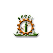 Federation of Pakistan Chambers of Commerce and Industries (FPCCI)
