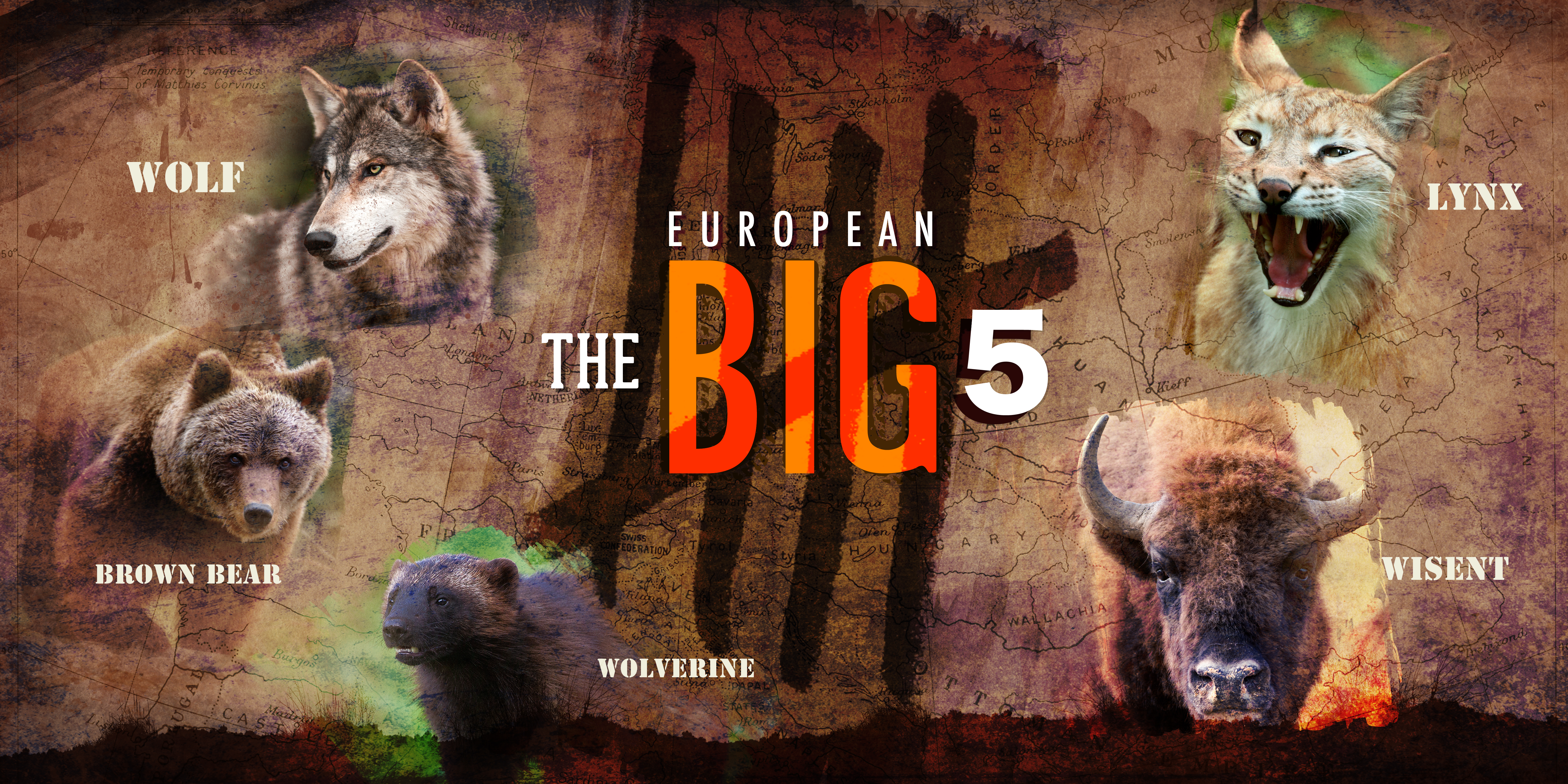 Europe's Big Five selected! | IUCN
