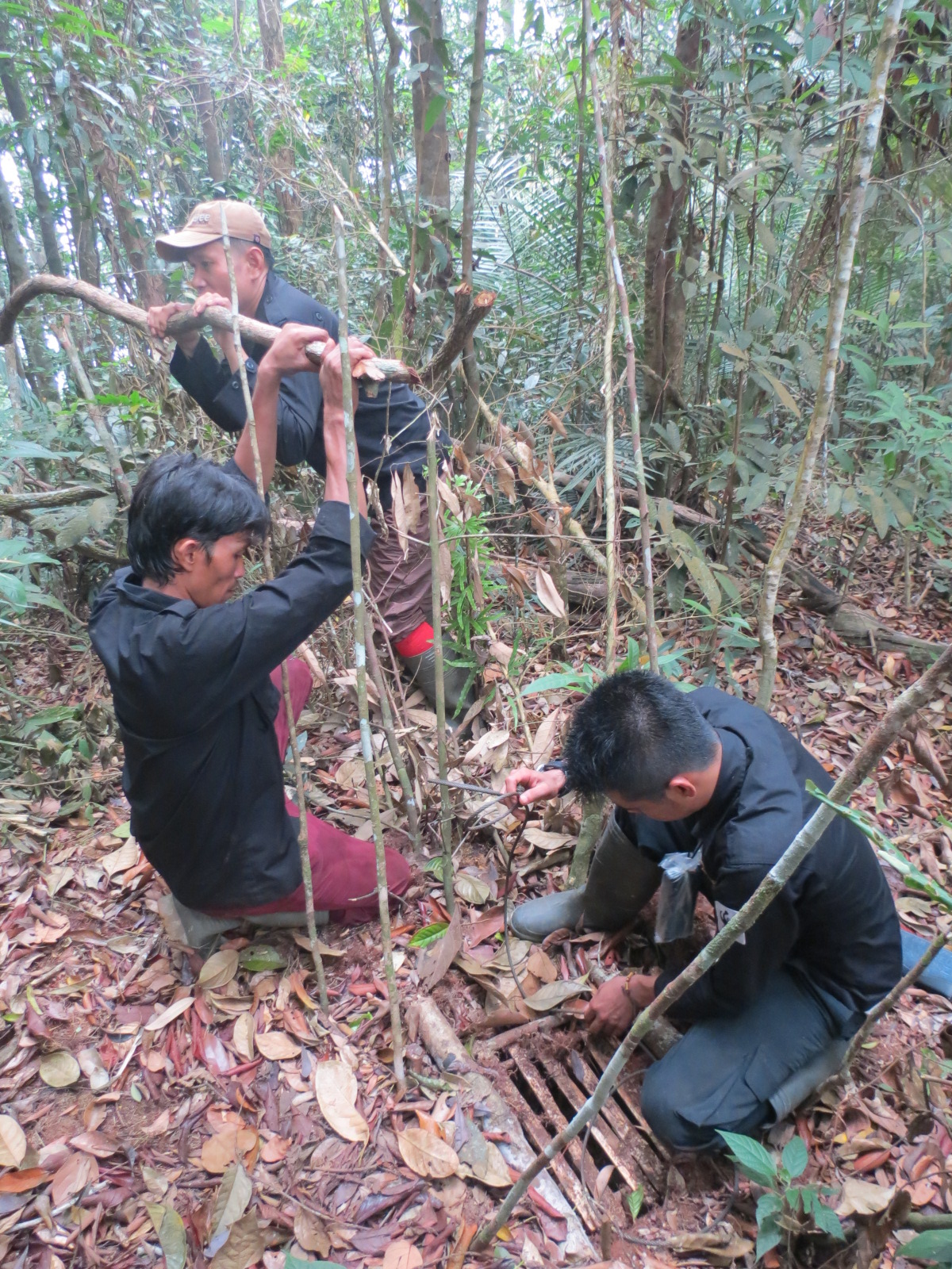 Tiger Protection Unit is clearing snares