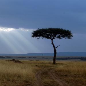 An iconic scene of East Africa