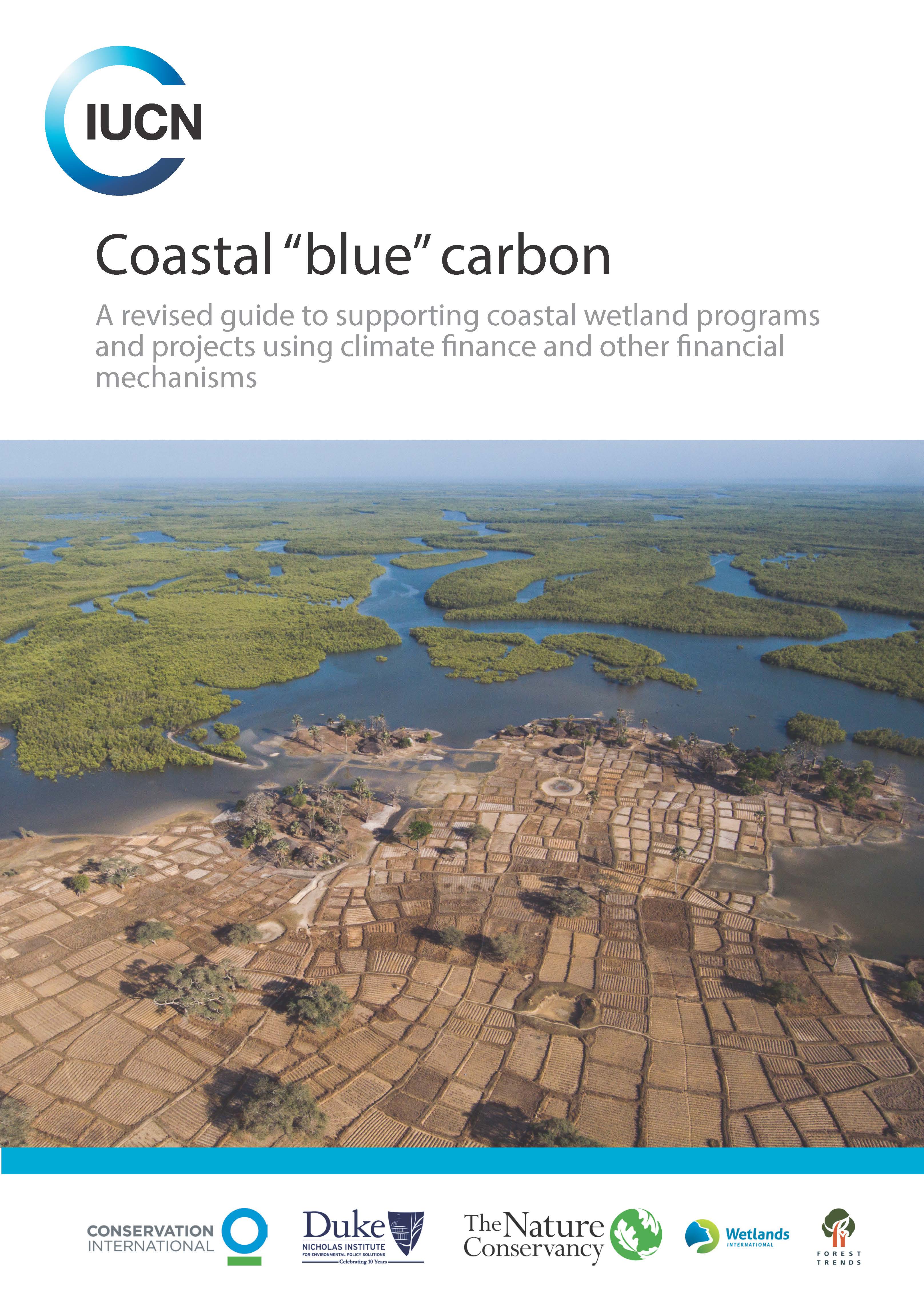Wetlands carbon finance report