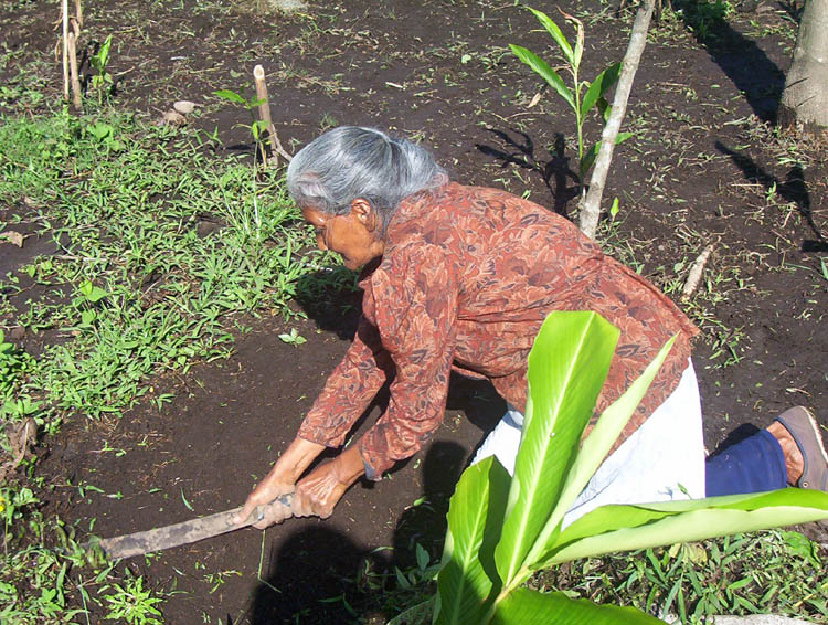 Women make up 43% of the agricultural labour force in developing countries.