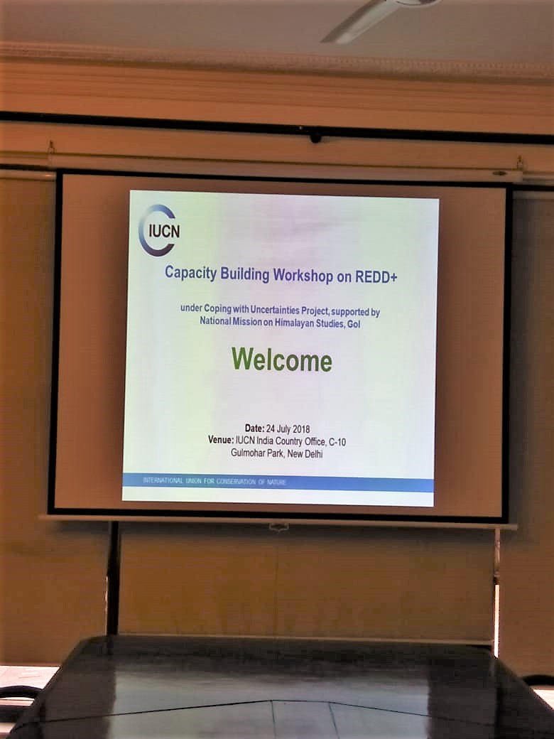 Capacity building workshop on REDD+