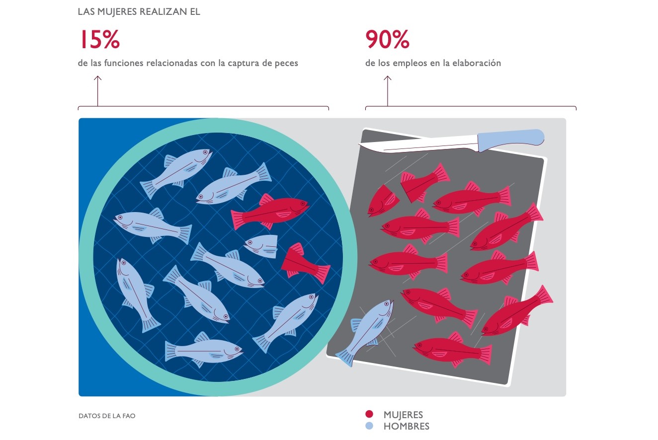 Gráfica del estudio Un mar de oportunidades: avance de las dimensiones de género en la pesca