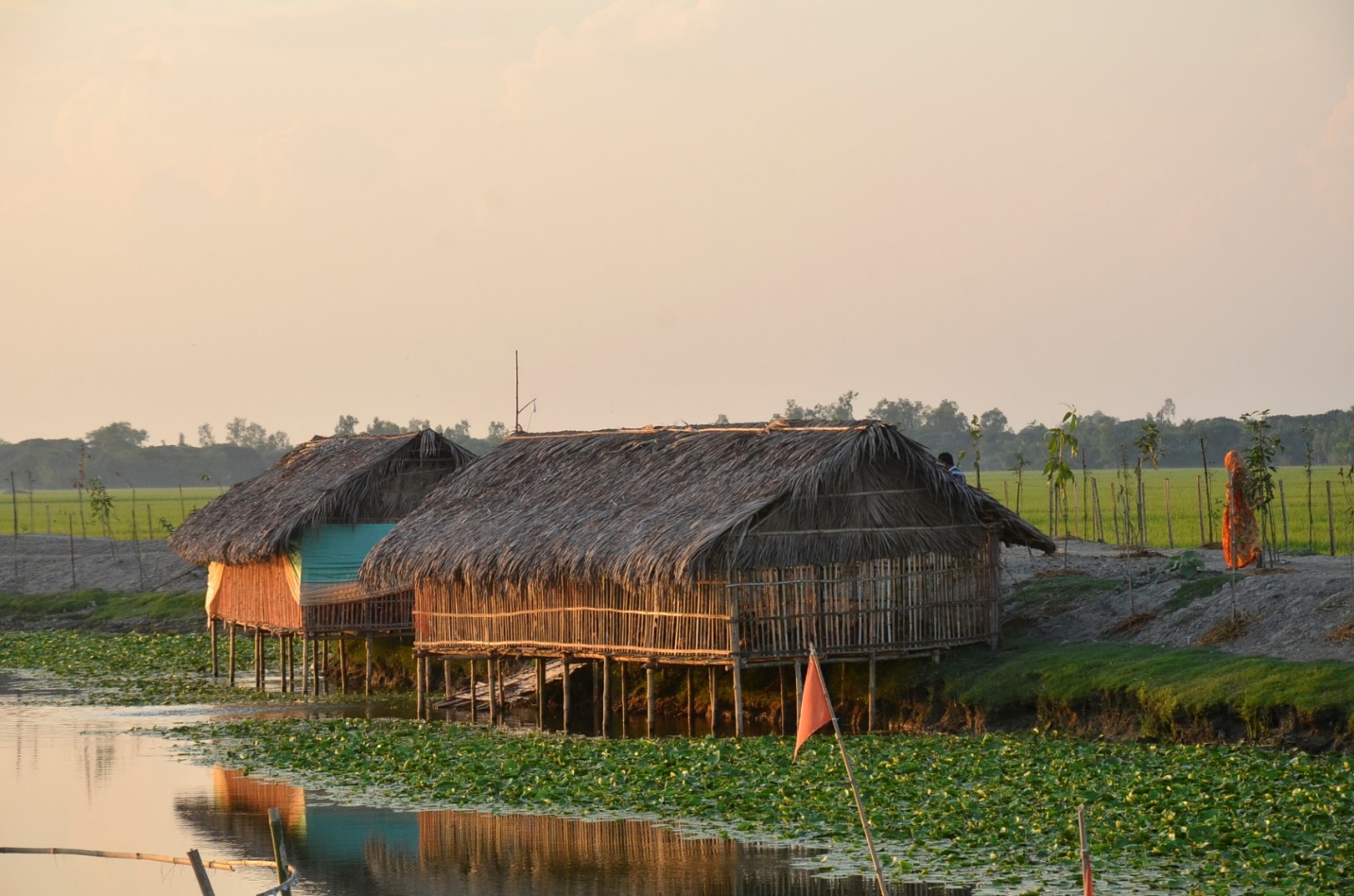 Two bamboo structures on stilts above a full river with green growth along the banks and sides