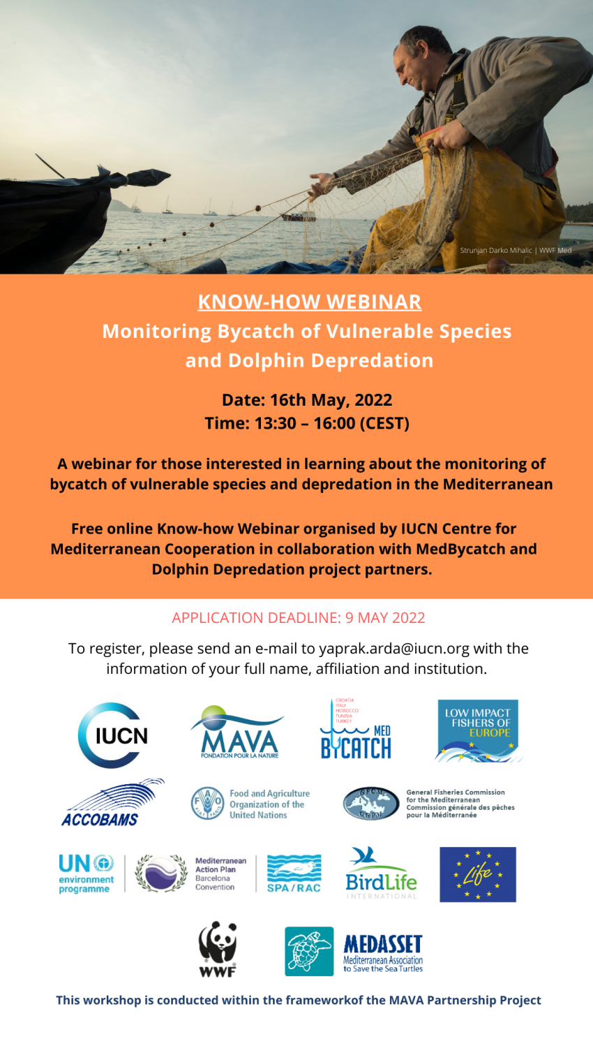 Webinar on monitoring of bycatch and dolphin depredation
