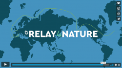 Relay4Nature impact promotion video