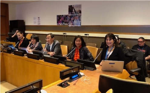 Rodion Sulyandziga speaking on climate change and traditional knowledge at UNPFII 2019