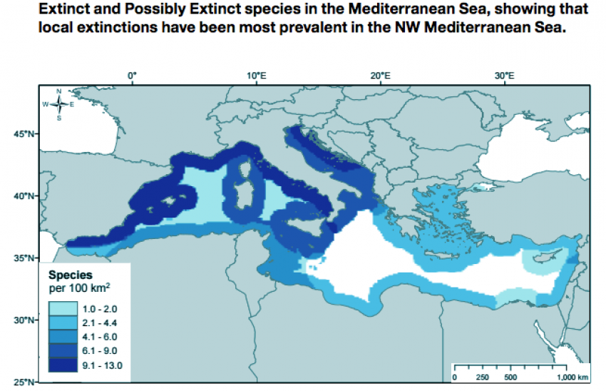 Extinction map sharks