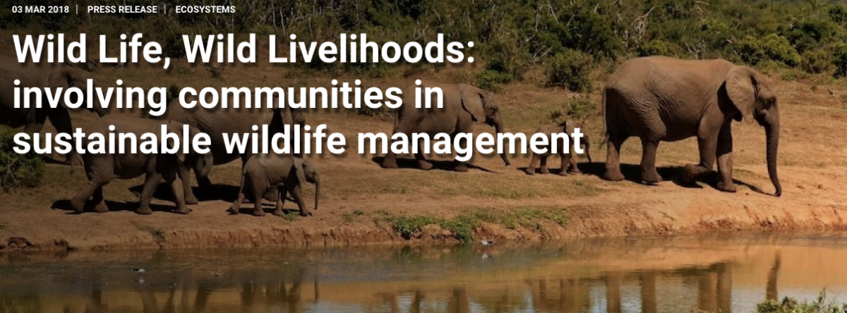 Wild Life, Wild Livelihoods: involving communities in sustainable wildlife management