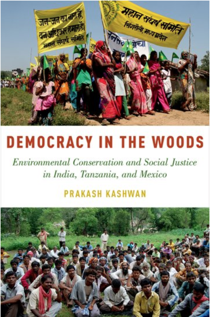 Democracy in the Woods Book Cover