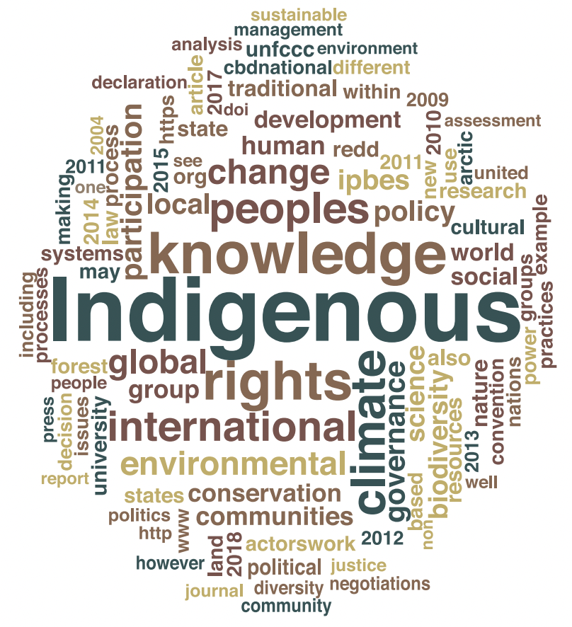Indigenous Participation and the Incorporation of Indigenous Knowledge and Perspectives in Global Environmental Governance Forums: a Systematic Review