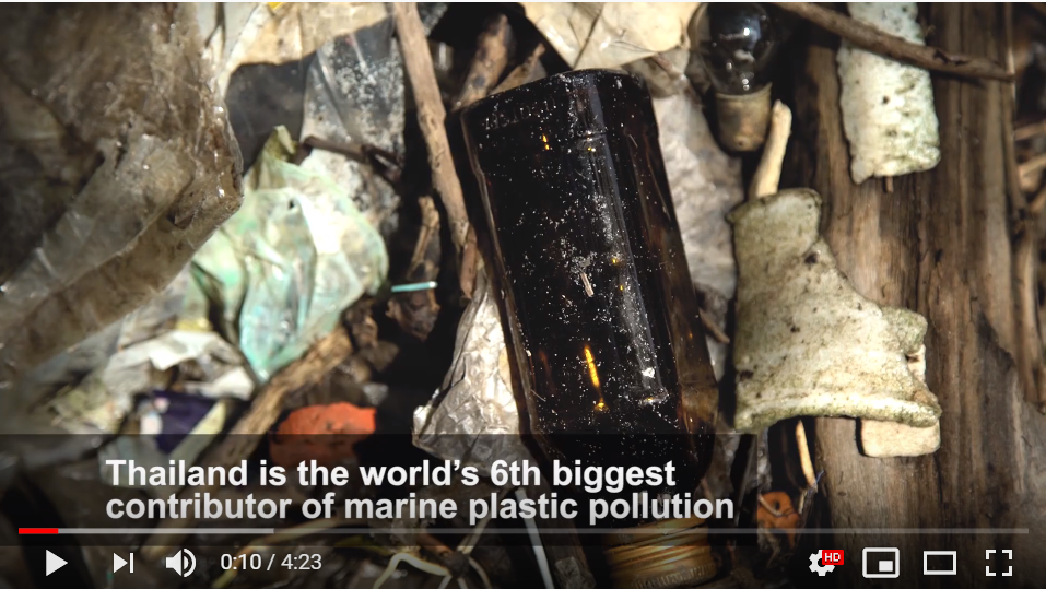 Raising awareness about marine plastic pollution by Thailand Bio-Diversity Network Alliance (B-DNA)