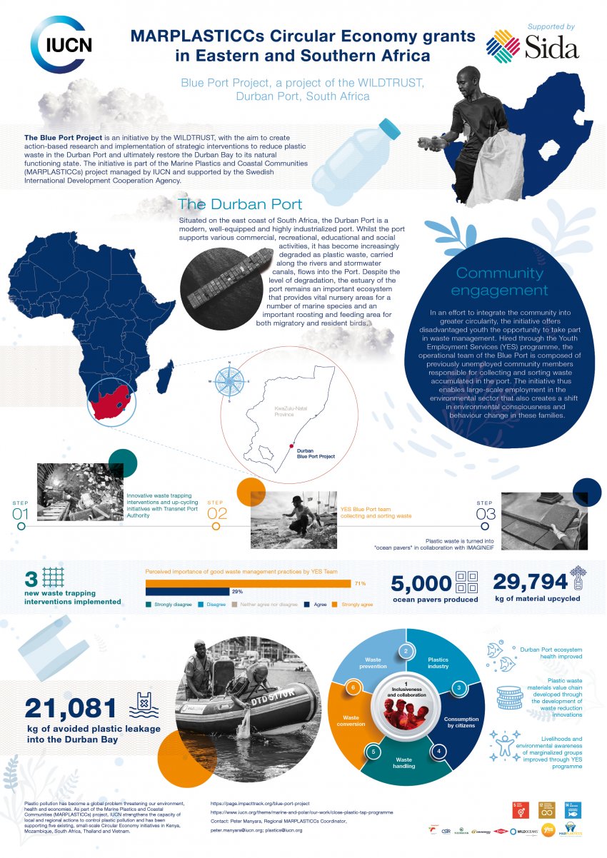 MARPLASTICCs South Africa infographic