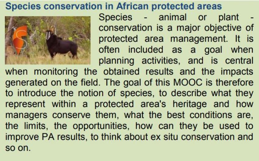 Species conservation in African protected areas