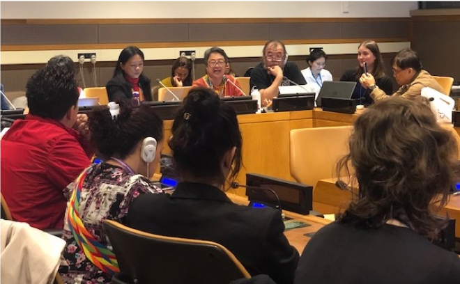 Victoria Tauli Corpuz, special rapporteur on the rights of indigenous peoples is addressing and preventing criminalization and impunity against indigenous peoples 