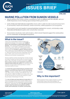 •	Marine pollution from sunken vessels is predicted to reach its highest level this decade.