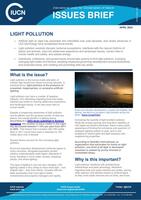 Issues Brief Thumbnail