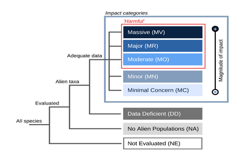Environmental Impact Classification for Alien Taxa Categories
