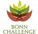 Bonn Challenge logo with plant design on top of lettering