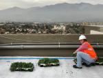María de la Luz Barros creó una empresa que instala techos verdes. Su empresa cuenta con la certificación de «Empresa B», como organización con altos estándares de desempeño social y medioambiental
