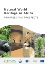 Natural World Heritage in Africa 2020 - publication cover