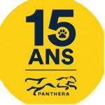 panthera._france.jpg