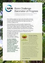 Bonn Challenge Barometer flyer