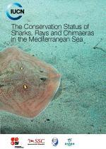 Brochure - Mediterranean sharks, rays and chimaera