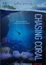Chasing Coral - a Netflix Original Documentary