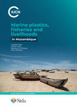 marine-plastics-fisheries-and-livelihoods-in-mozambique