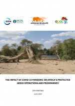 The Impact of COVID-19 Pandemic on Africa’s Protected Areas Operations and Programmes