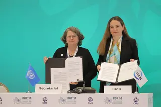 Dr Grethel Aguilar and Amy Fraenkel signing the MOU at the CMS COP14 in Uzbekistan